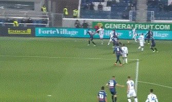 动画 (856).gif